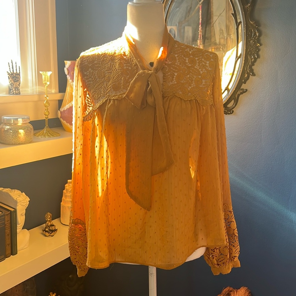 Champagne & Strawberry Mustard Sheer Embroidery Blouse MEDIUM